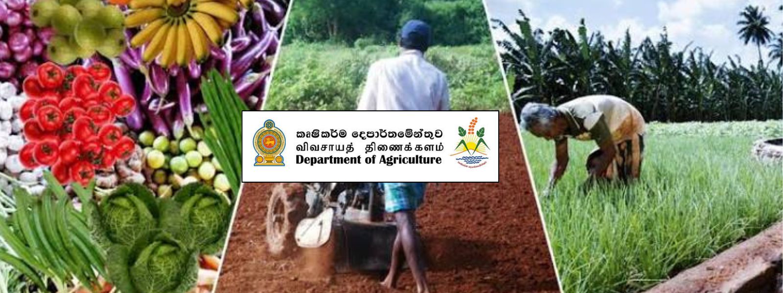 Maha Season Water Supply Dates to Be Finalized